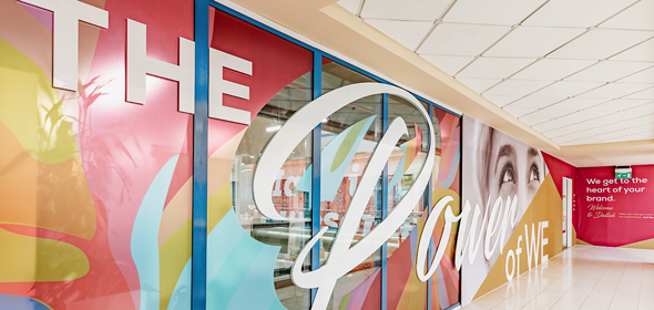 November 2020 Newsletter